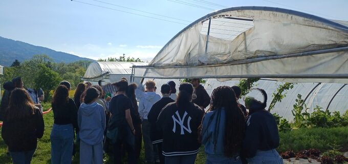 sortie eco délégués-3 floue.jpg